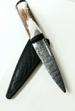 Stag Antler Sgian Dubh with Blackwood Mount