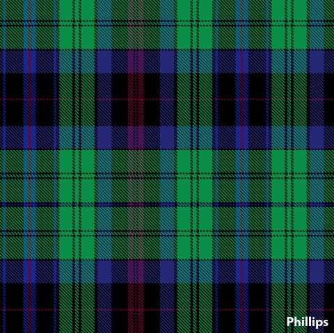 PHILLIPS LAMBSWOOL SCARF