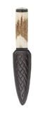 Stag Antler Sgian Dubh with Blackwood Mount
